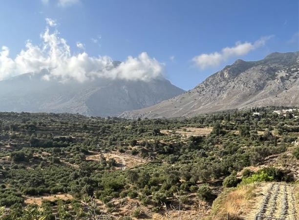 Paysage des montagnes de Crète sur lesquelles est récolté l'origan de Terre Exotique