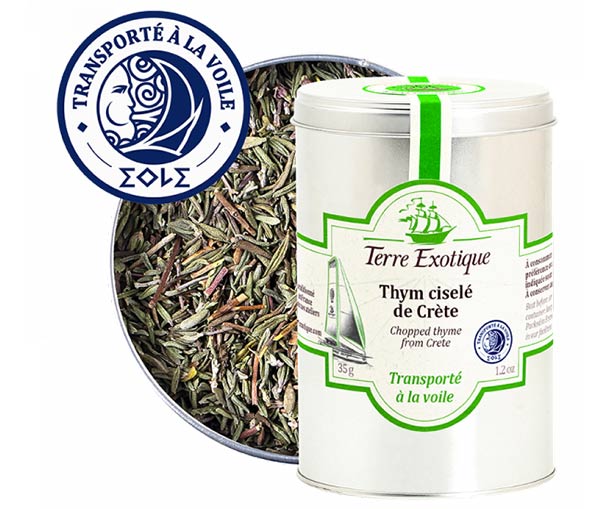 vue sur le pot de thym Terre Exotique