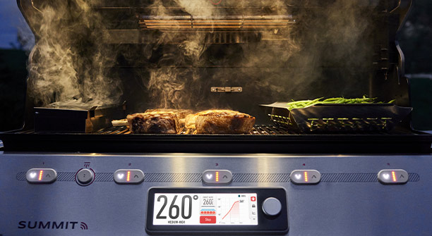 Surface de cuisson du Summit FS38X E Weber