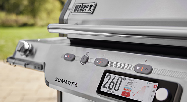 Brûleurs du Summit FS38X S Weber